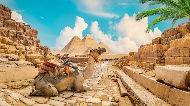 Тур-знакомство: главные достопримечательности Гизы, Каира и Александрии – авторский тур