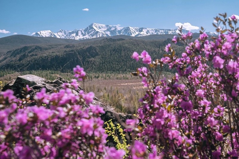 Майские праздники на Алтае: Чемал, Чуйский тракт и Телецкое озеро – авторский тур