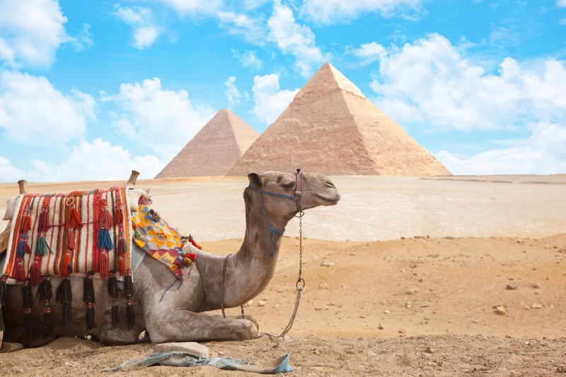 Древний Египет для детей и взрослых – индивидуальная экскурсия