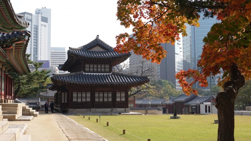 Путешествие по Южной Корее: два мегаполиса и курортные острова Чеджудо и Удо – авторский тур