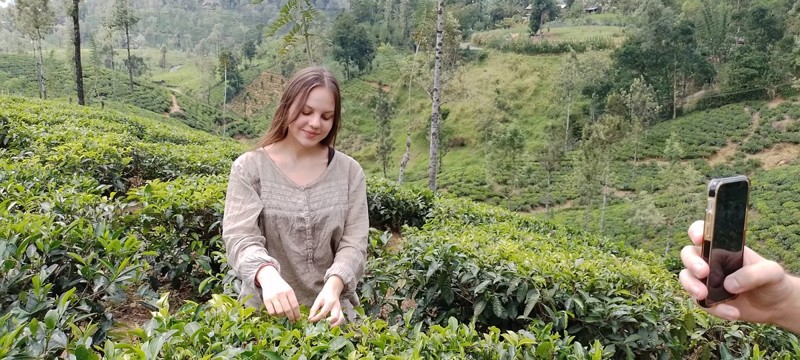 Буддийская, чайная и дикая Шри-Ланка – авторский тур