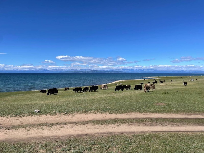Два глубочайших озера-брата: путешествие на север Монголии и на Ольхон – авторский тур