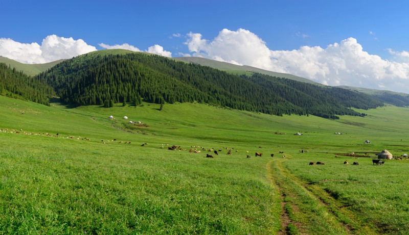 Плато Асы и водопад Аюлы: групповая экскурсия
