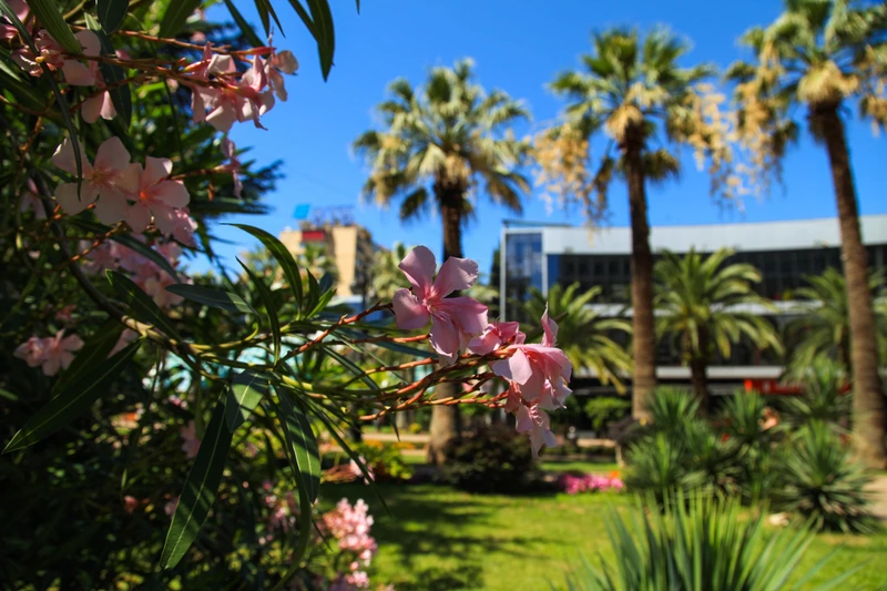 Сочи — яркие краски любимого города – индивидуальная экскурсия