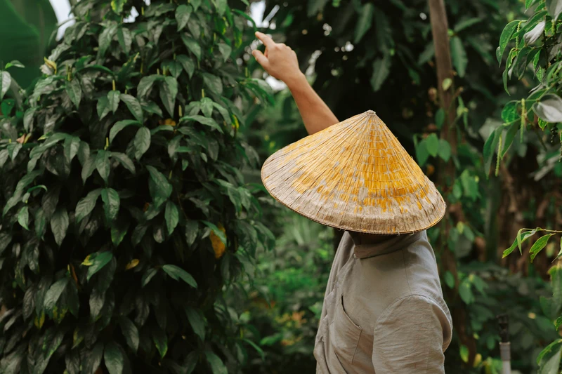 Фукуок: история, быт и ремёсла – индивидуальная экскурсия