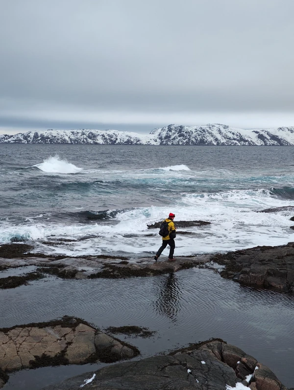 Териберка во власти северной стихии — из Мурманска – групповая экскурсия