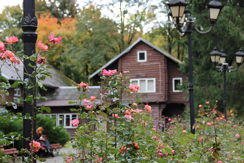 Аллея королевы Луизы — живописное сердце города (в мини-группе) – групповая экскурсия