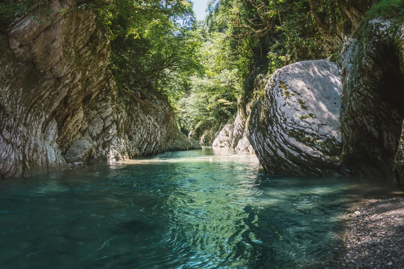 Такой разный Сочи: водопады, ущелья и чайные плантации – групповая экскурсия