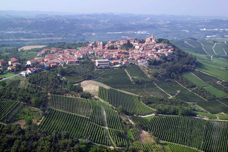 Из Турина в Бароло, на родину великого вина – индивидуальная экскурсия
