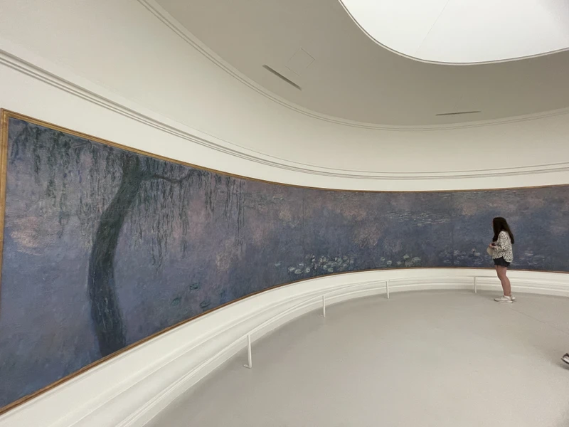 Музей Оранжери: от кувшинок Моне до авангарда 20 века (без очереди) – групповая экскурсия