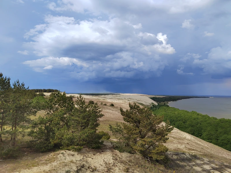 Путешествие в стиле сафари по Калининградской области – индивидуальная экскурсия