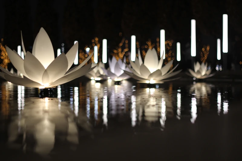 Парк «Краснодар»: здесь могло быть снято ваше кино! – индивидуальная экскурсия