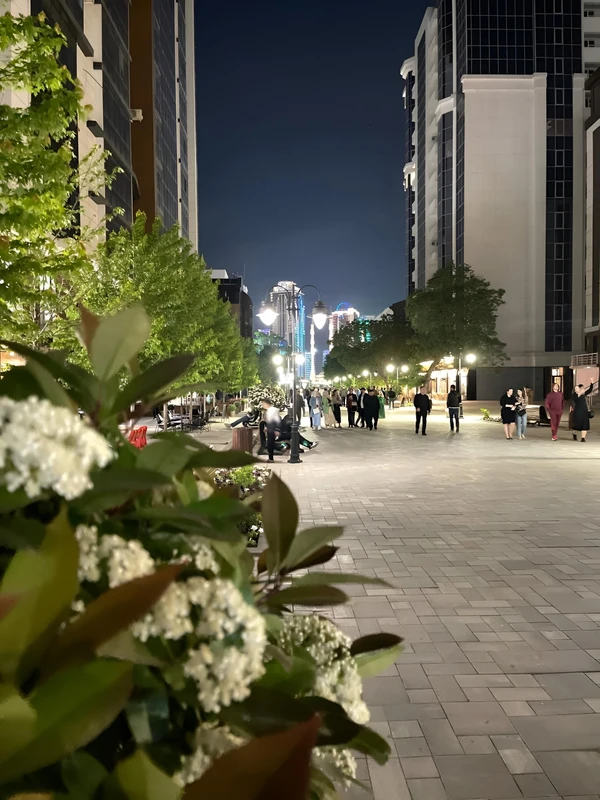 Неспешная прогулка по Грозному – индивидуальная экскурсия