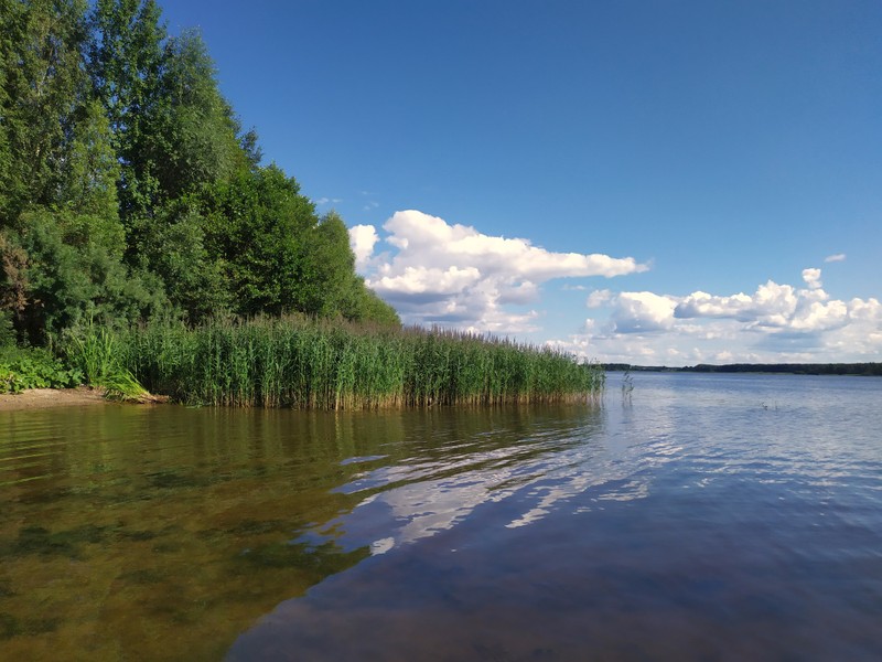 Раскинулось море широко: прогулка-рыбалка на катере по Костромскому морю – индивидуальная экскурсия