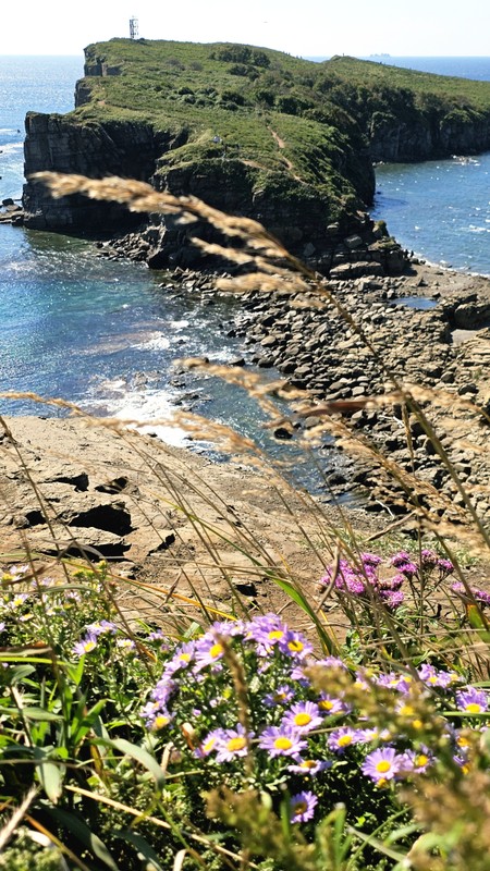 Владивосток — это по любви! – индивидуальная экскурсия