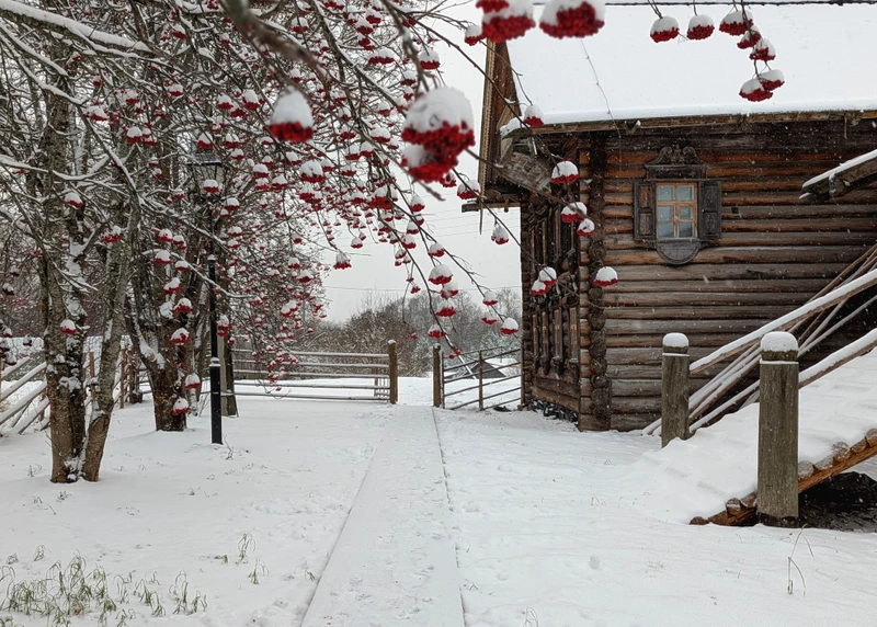 В гости к вепсам — из Петрозаводска – индивидуальная экскурсия