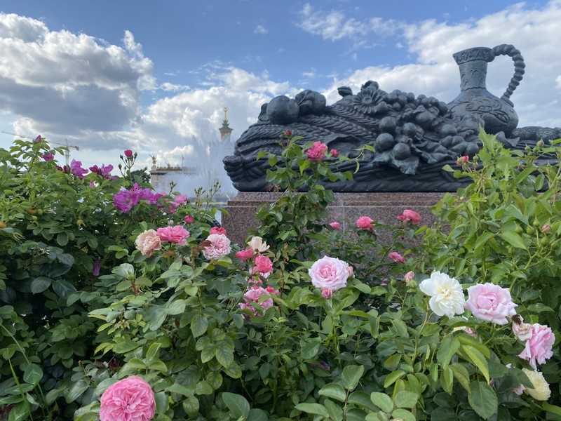 От «Золотого колоса» до космоса: парад планет ВДНХ (в группе) – групповая экскурсия