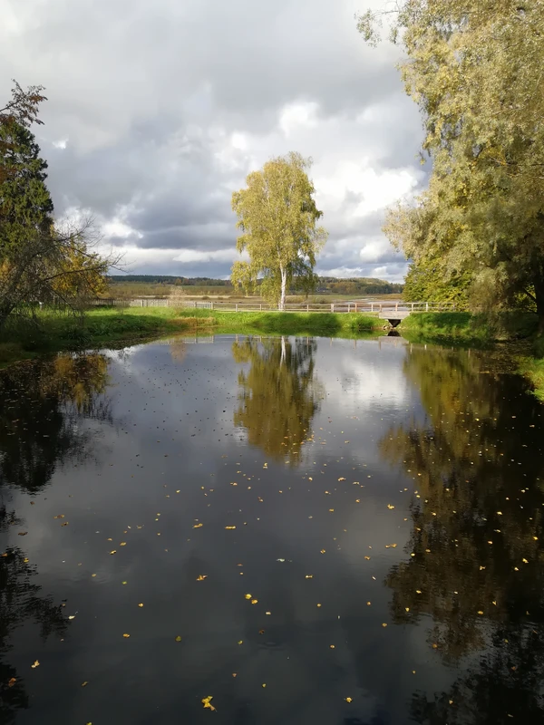 По местам Михайловской ссылки Пушкина (на вашем автомобиле) – индивидуальная экскурсия