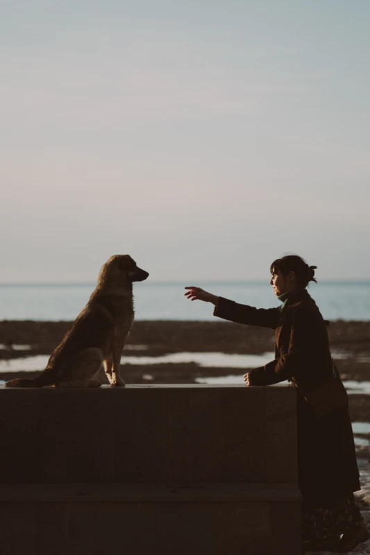 Мастер-класс от фотографа New York Times в Батуми – индивидуальная экскурсия