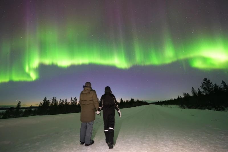 Мурманск: охота за северным сиянием – групповая экскурсия