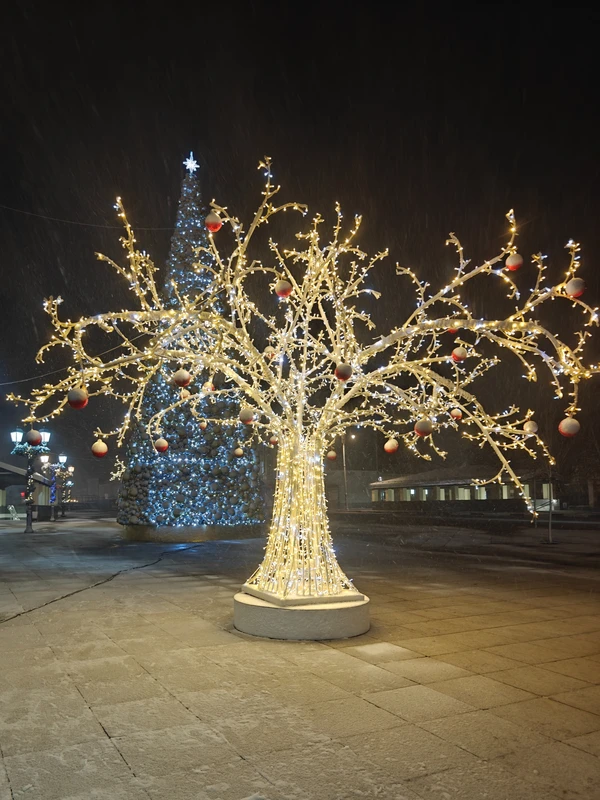 Идеальное знакомство с новогодней Коломной – групповая экскурсия