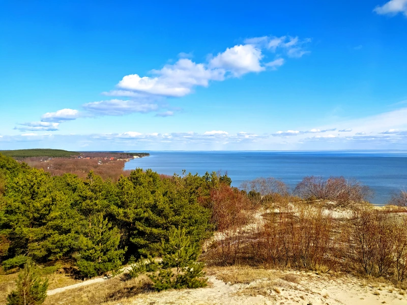 Куршская коса в мини-группе (из Калининграда) – групповая экскурсия