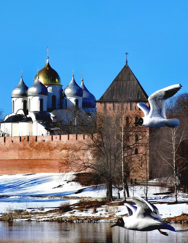 Два центра Великого Новгорода: кремль и Ярославово дворище