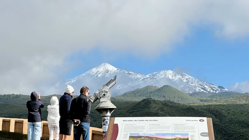 Горная прогулка над ущельем Маска и реликтовый лес Тенерифе – индивидуальная экскурсия