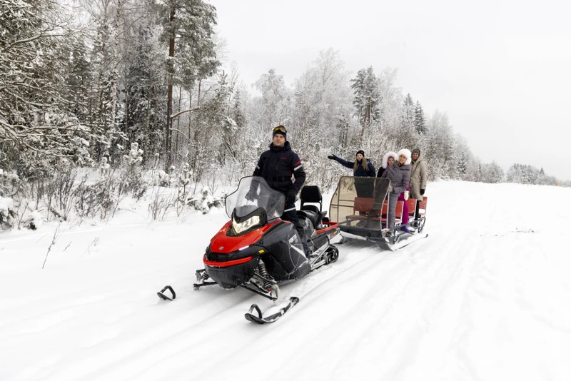 На санях — по зимней Карелии – индивидуальная экскурсия