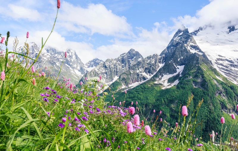 Созвездие гор: курорты КМВ, Домбай, Архыз и Эльбрус – авторский тур