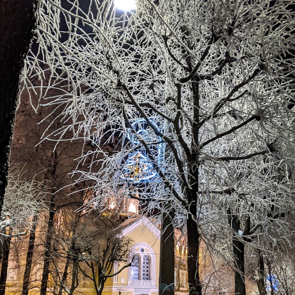 Пушкин: прогулка вокруг Колонистского пруда – индивидуальная экскурсия