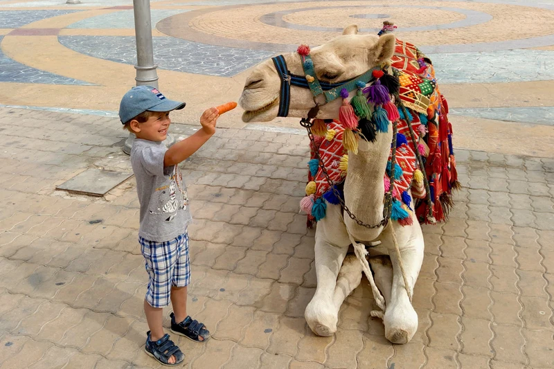 Хургада детям! – индивидуальная экскурсия