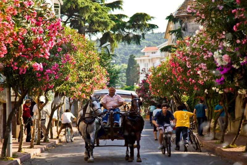 Волшебный день на Принцевых островах – групповая экскурсия