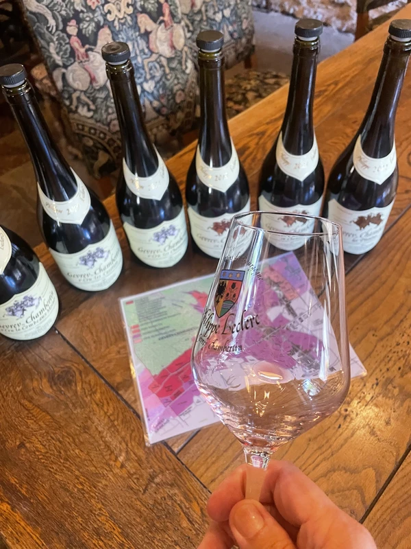 Виноградники и виноделы в окрестностях Лиона – индивидуальная экскурсия