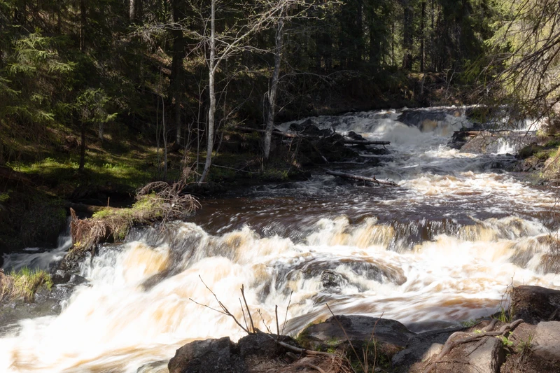 В карельский экопарк «Долина водопадов» — из Петербурга – групповая экскурсия