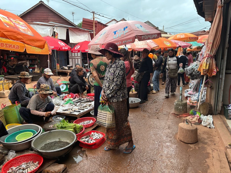 Погружение в настоящую Камбоджу – индивидуальная экскурсия