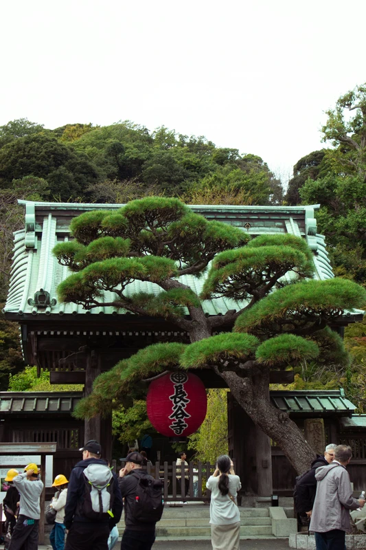 Шёпот Камакуры: древние храмы и самурайские легенды – индивидуальная экскурсия