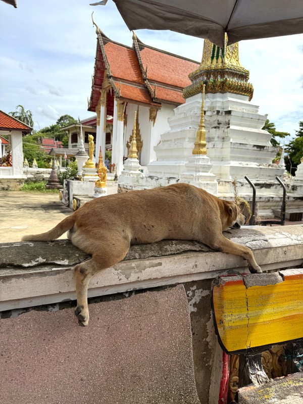 Остров Крет: зелень, ремёсла и пивоварни (из Паттайи) – групповая экскурсия