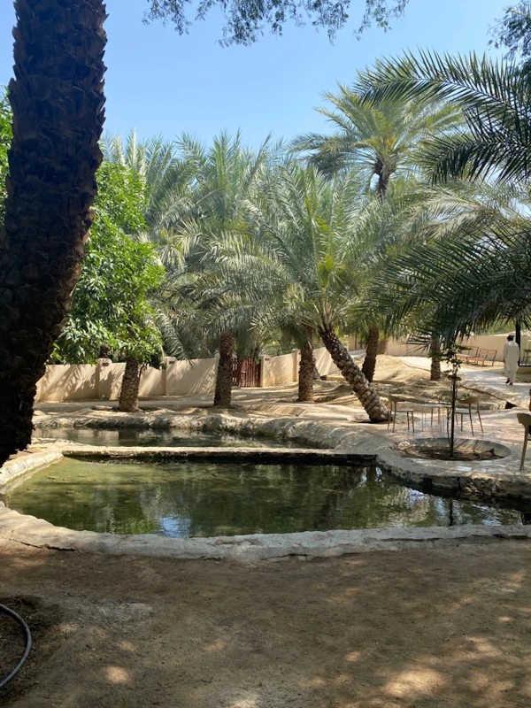 Из Дубая — к горному курорту Хатта – индивидуальная экскурсия