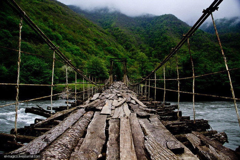 Путешествие по национальному парку: из Адлера — на озеро Рица – групповая экскурсия