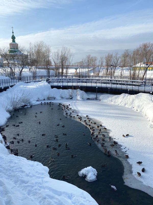 А в чём же соль? Из Перми — в Соликамск – индивидуальная экскурсия