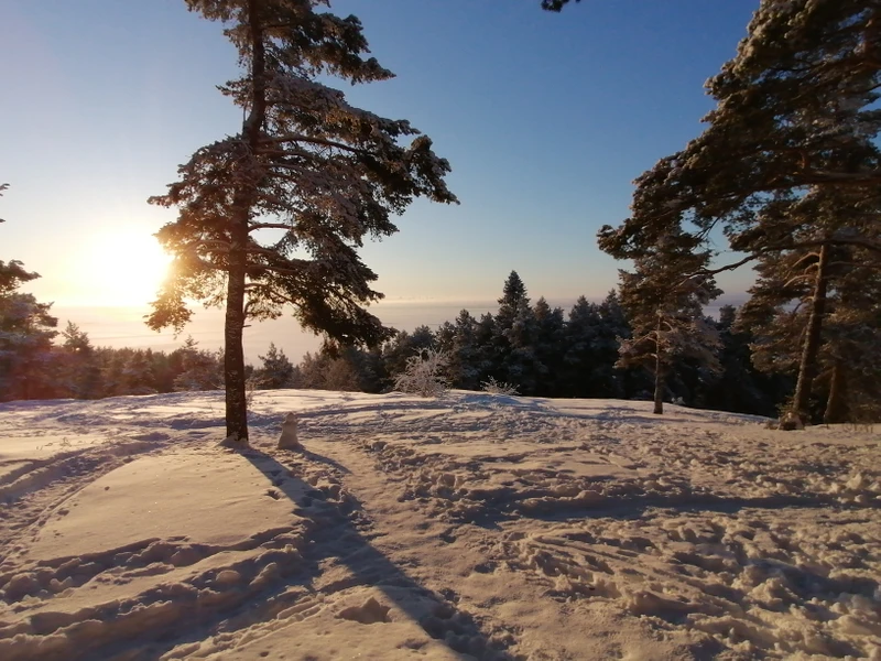Петрозаводск с необычного ракурса – индивидуальная экскурсия