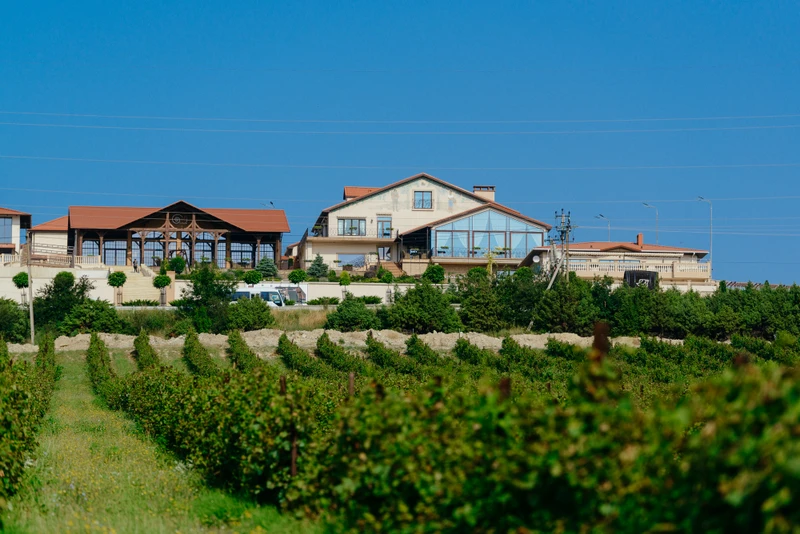 Путешествие в Шато Пино: виноградники, улитки и ретро-авто – групповая экскурсия