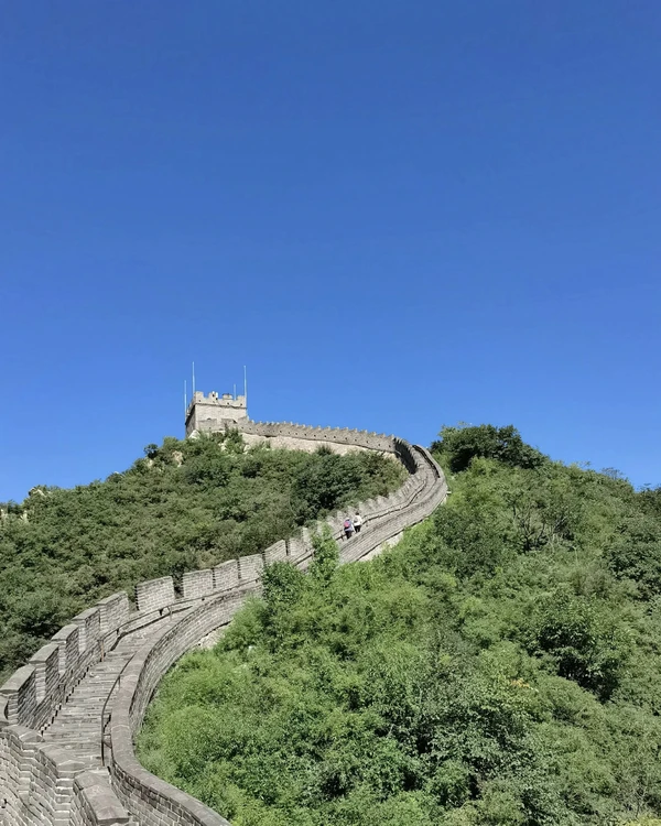 Классический Пекин: панды, чайная церемония, Великая Китайская стена и пекинская утка – индивидуальная экскурсия