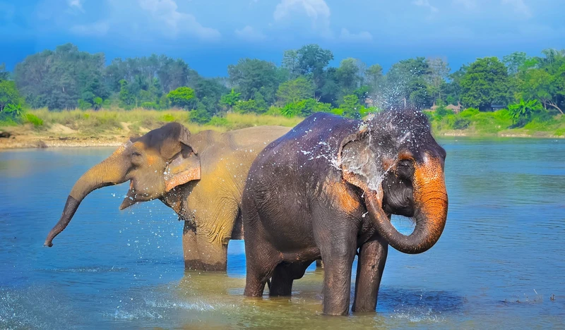Шаг за шагом по Непалу: лёгкие треккинги, сафари в джунглях и водные прогулки – авторский тур