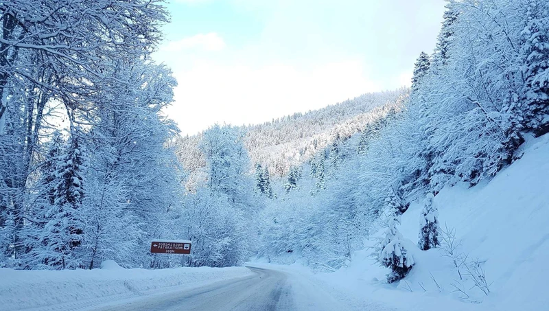 Из Тбилиси — в зимний Боржоми и Бакуриани – групповая экскурсия