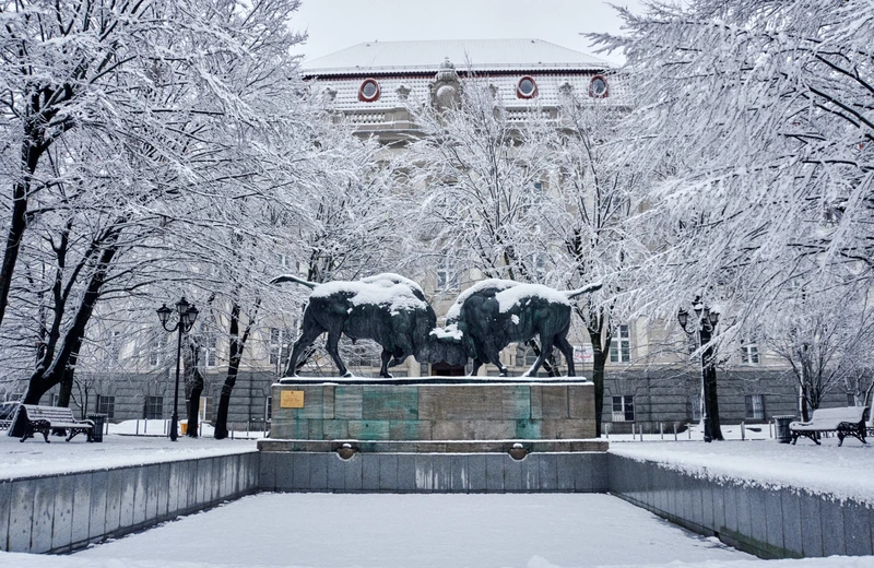 Главное в Калининграде за 3 часа в мини-группе – групповая экскурсия