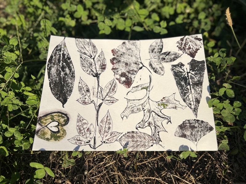 Мастер-класс по монопечати растений в Сочи – групповая экскурсия