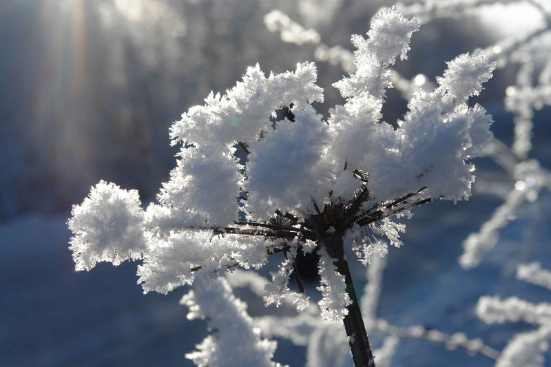 Ловим праздничное настроение на Алтае: природа, культура и знаковые локации края – авторский тур