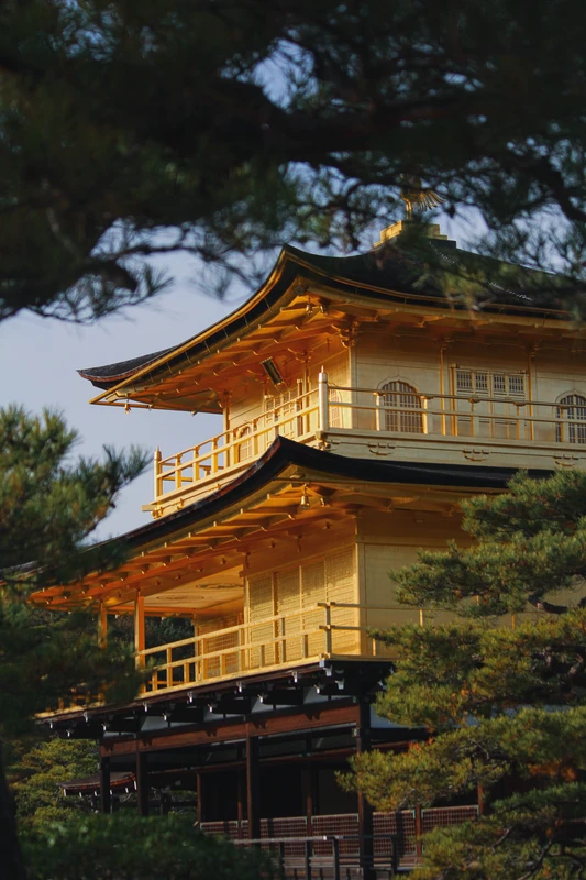 Нара и Киото — древние столицы Японии – индивидуальная экскурсия